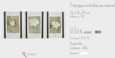 Triptyque_orchidées_blanches